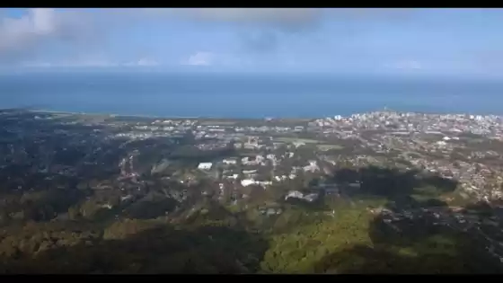 Viva, aprenda e encontre o seu porquê na Universidade de Wollongong