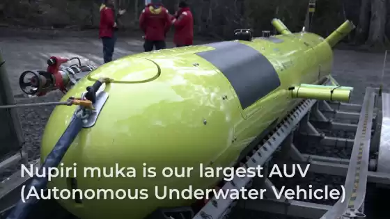 Roboter im Wasser