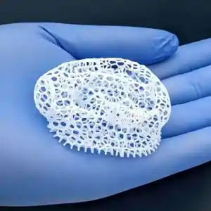 RMIT: 筋肉の形成、脳の構築、そして驚くべきバイオファブリケーション研究の世界